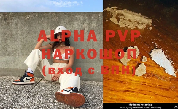 PSILOCYBIN Балабаново