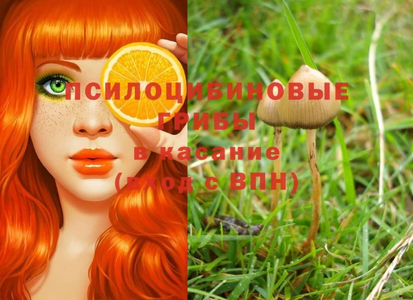 винт Аркадак
