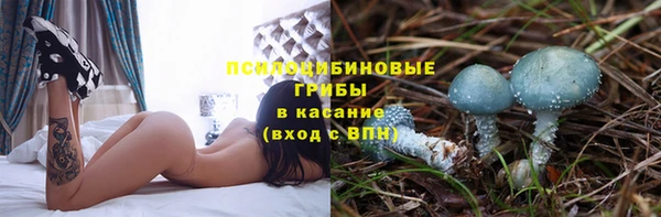 метадон Арсеньев