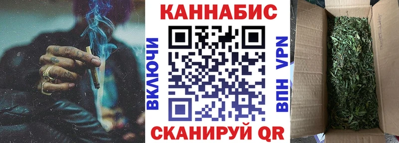 Бошки Шишки план Томари